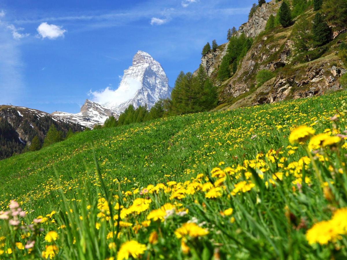 Apartamento Vitalis By Interhome Zermatt